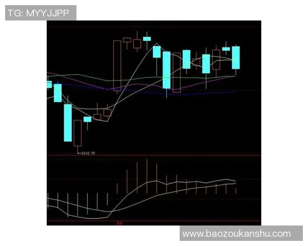 杭州排球队防守策略深度分析与战术解读