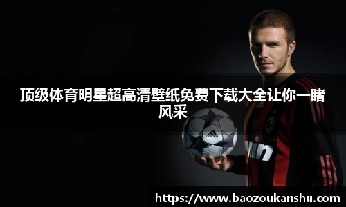 B体育官网