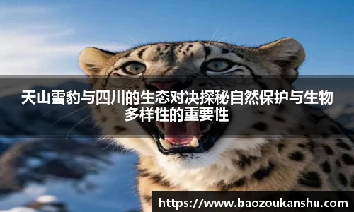 B体育官网