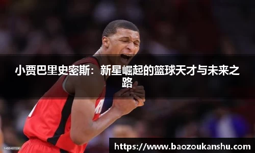 B体育官网