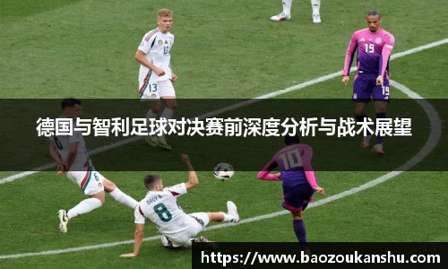 bsports官网入口
