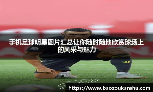 B体育bsports