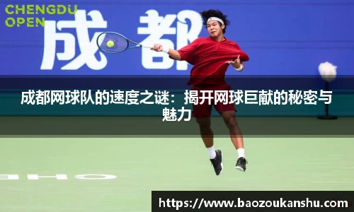 bsports官网入口