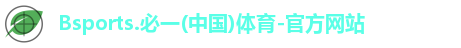 B体育官网